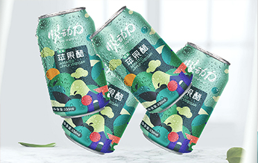 黄冈苹果醋包装设计